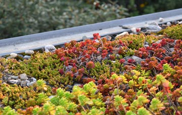 the cost of Lopen green roof installation