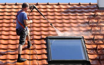roof cleaning Lopen, Somerset